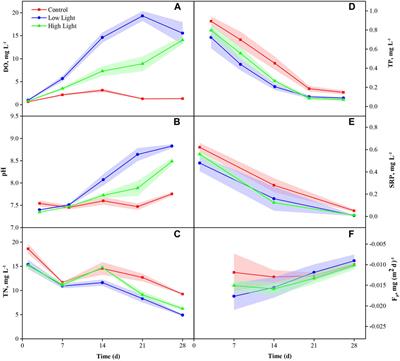 Decreased Internal Phosphorus Loading From Eutrophic Sediment After Artificial Light Supplement: Preliminary Evidence From a Microcosm Experiment